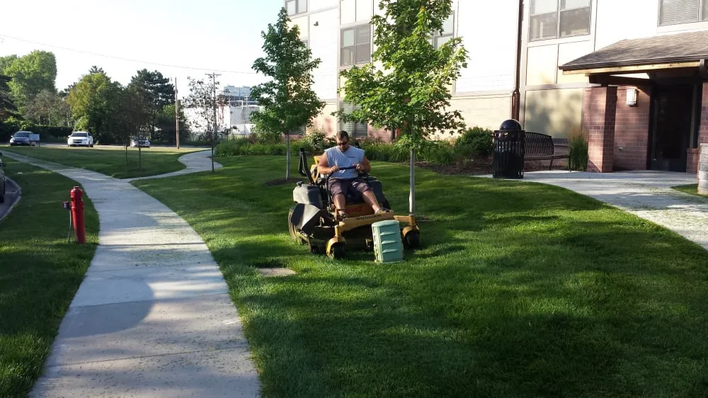 Affordable yard cleanup service in Omaha, NE - Diamond Cut Lawns