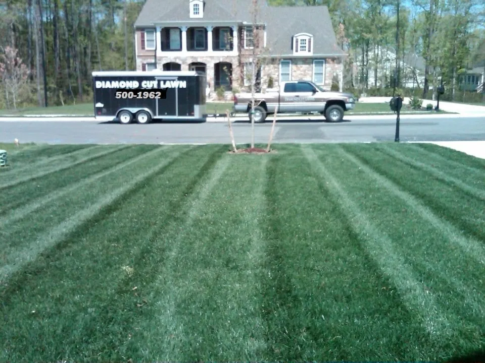 Affordable yard cleanup service experts serving Kernersville, NC - Diamond Cut Lawnz