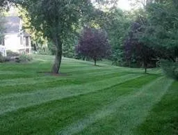 Professional yard cleanup service experts serving Kernersville, NC - Diamond Cut Lawnz