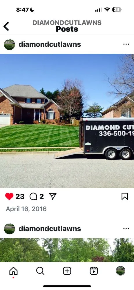 Professional yard cleanup service experts serving Kernersville, NC - Diamond Cut Lawnz