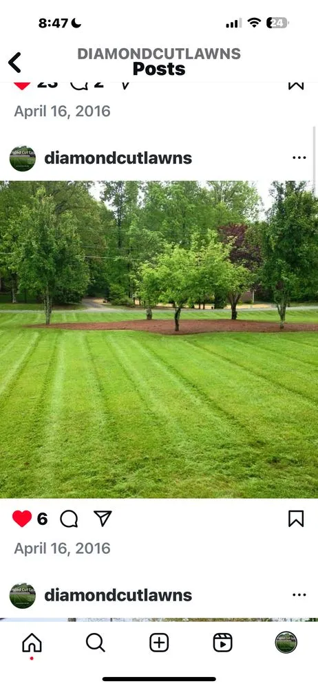 Expert yard cleanup service for outdoor upgrades in Kernersville, NC by Diamond Cut Lawnz