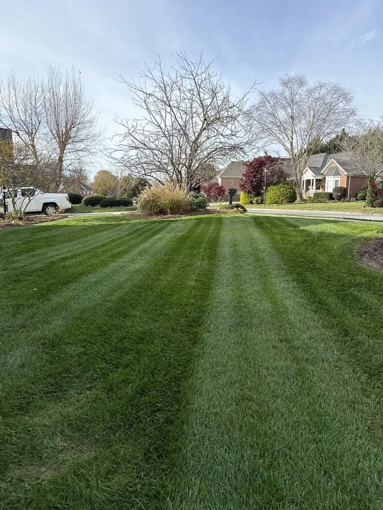 Expert garden landscaping for residential properties in Kernersville, NC by Diamond Cut Lawnz