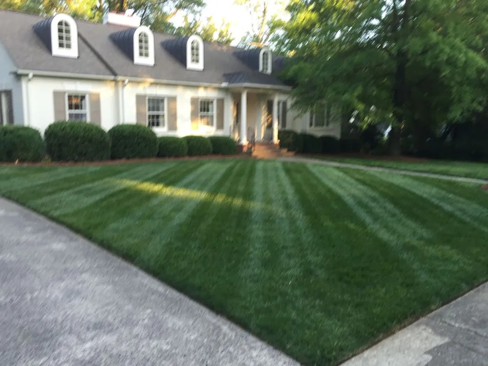 Professional landscaping services in Kernersville, NC - Diamond Cut Lawnz