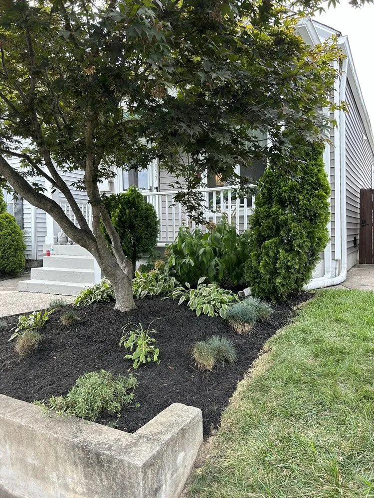 Local yard cleanup service in Louisville, KY - Diamond Cut Outdoor Solutions LLC