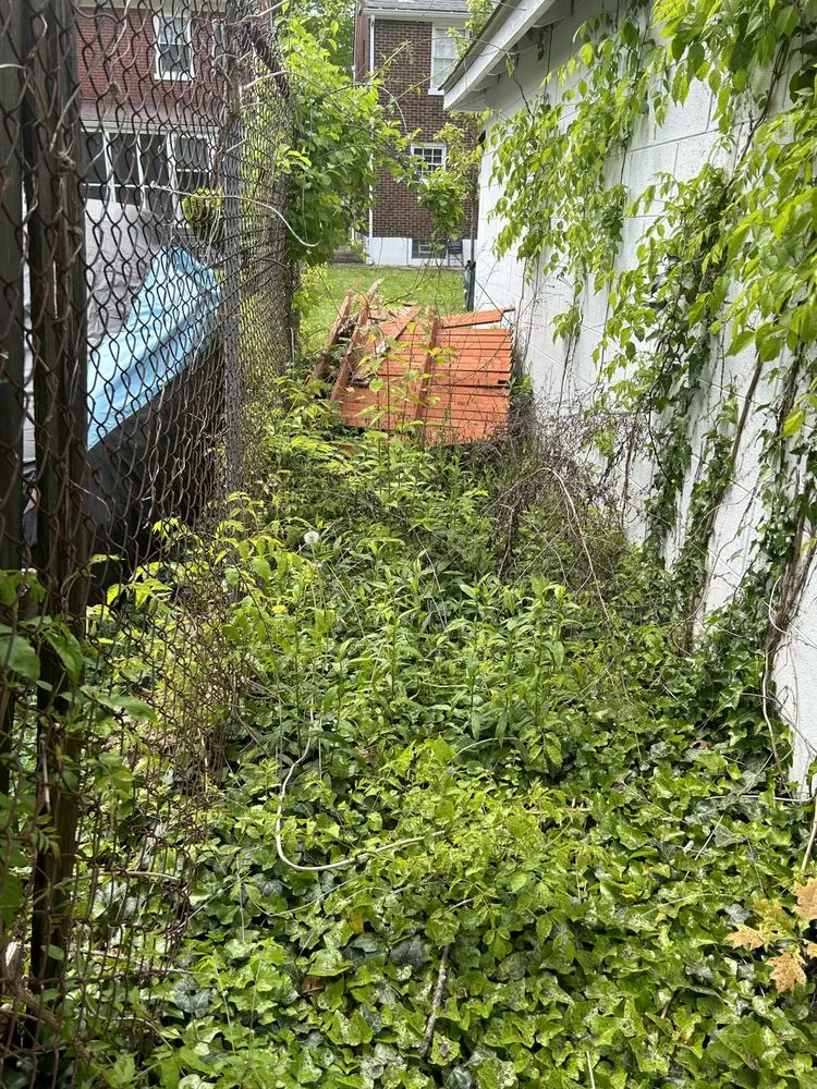 Local residential landscaping experts serving Louisville, KY - Diamond Cut Outdoor Solutions LLC