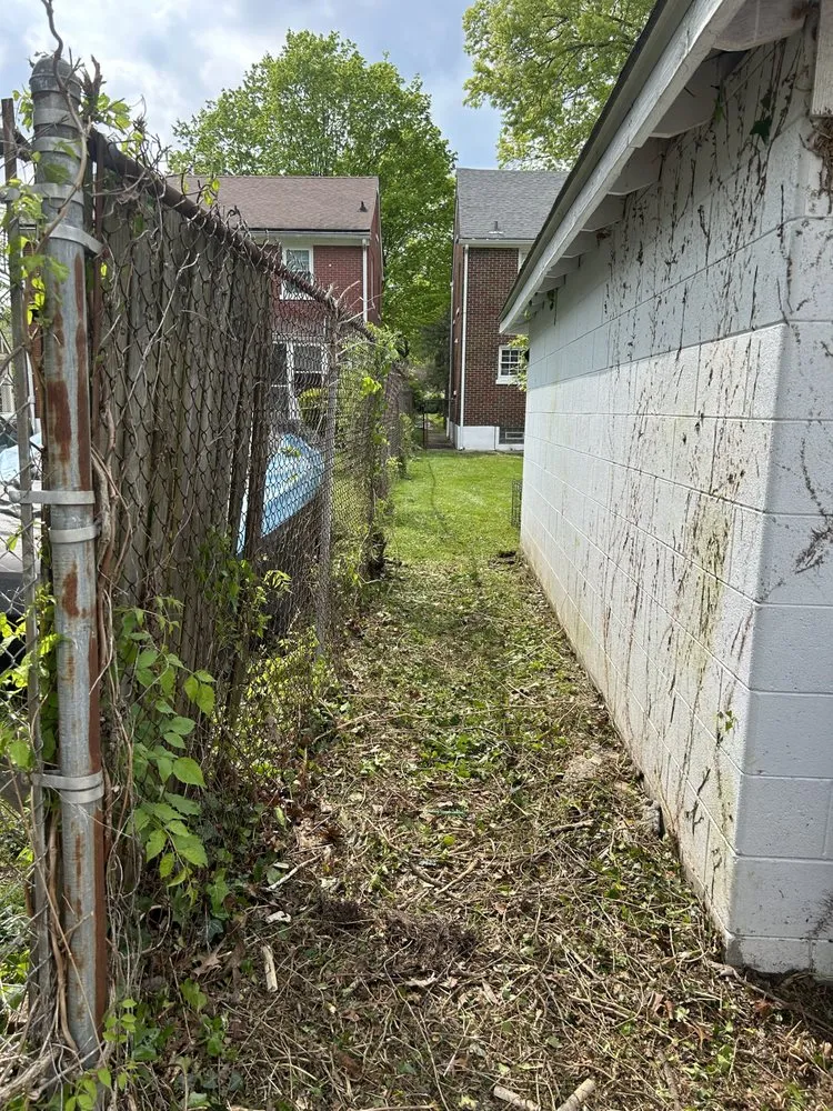 Top-rated landscape installation in Louisville, KY - Diamond Cut Outdoor Solutions LLC