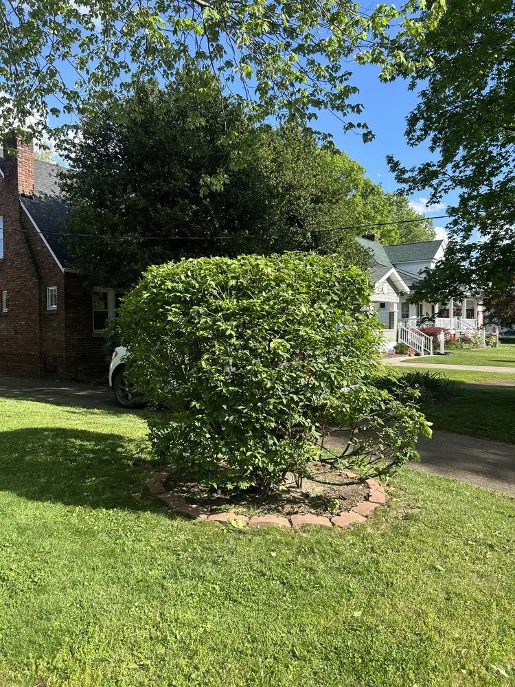 Professional outdoor landscaping with custom design across Louisville, KY - Diamond Cut Outdoor Solutions LLC