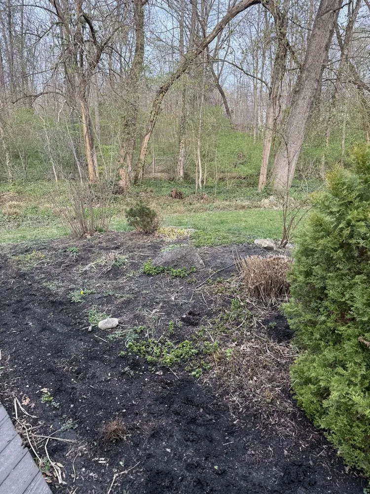 Local lawn care service for outdoor upgrades in Louisville, KY by Diamond Cut Outdoor Solutions LLC