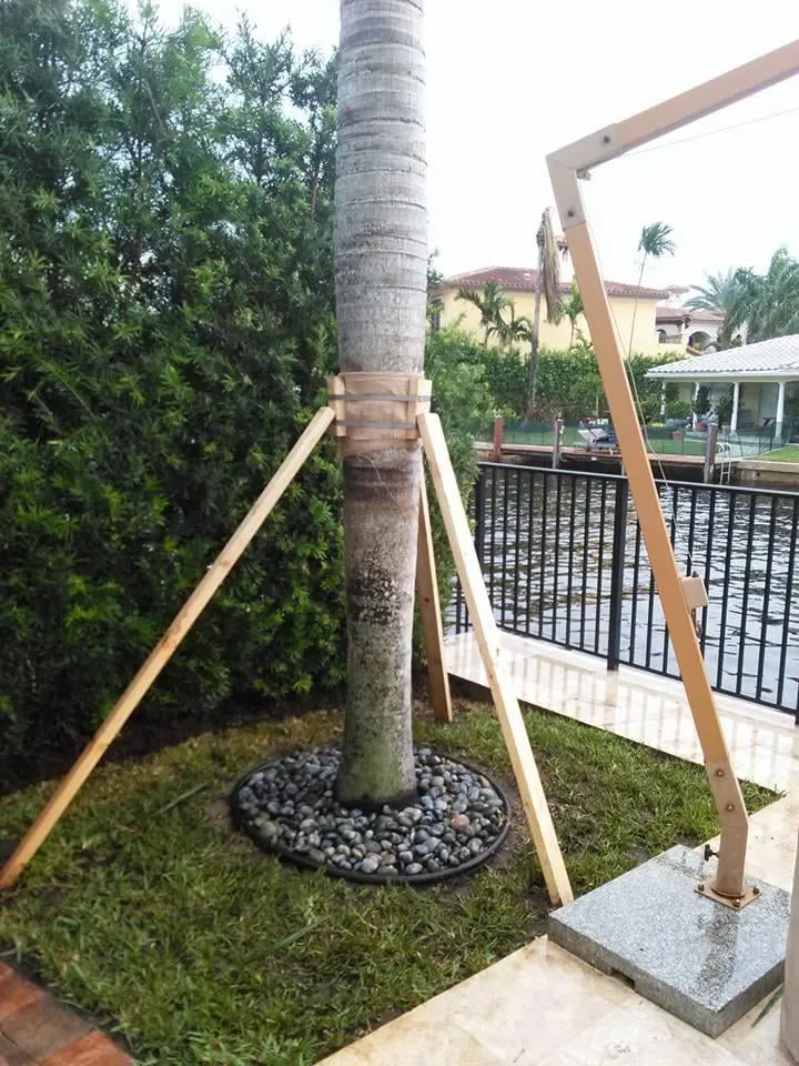 Reliable lawn care service experts serving Coconut Creek, FL - Diamond Cuts & Landscaping