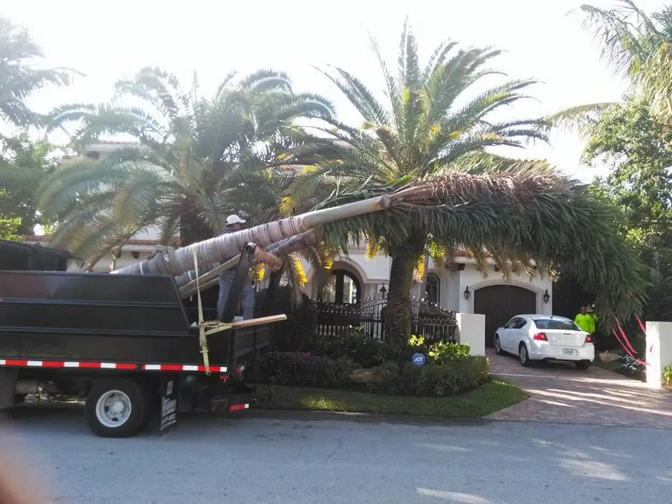 Custom landscaping services experts serving Coconut Creek, FL - Diamond Cuts & Landscaping