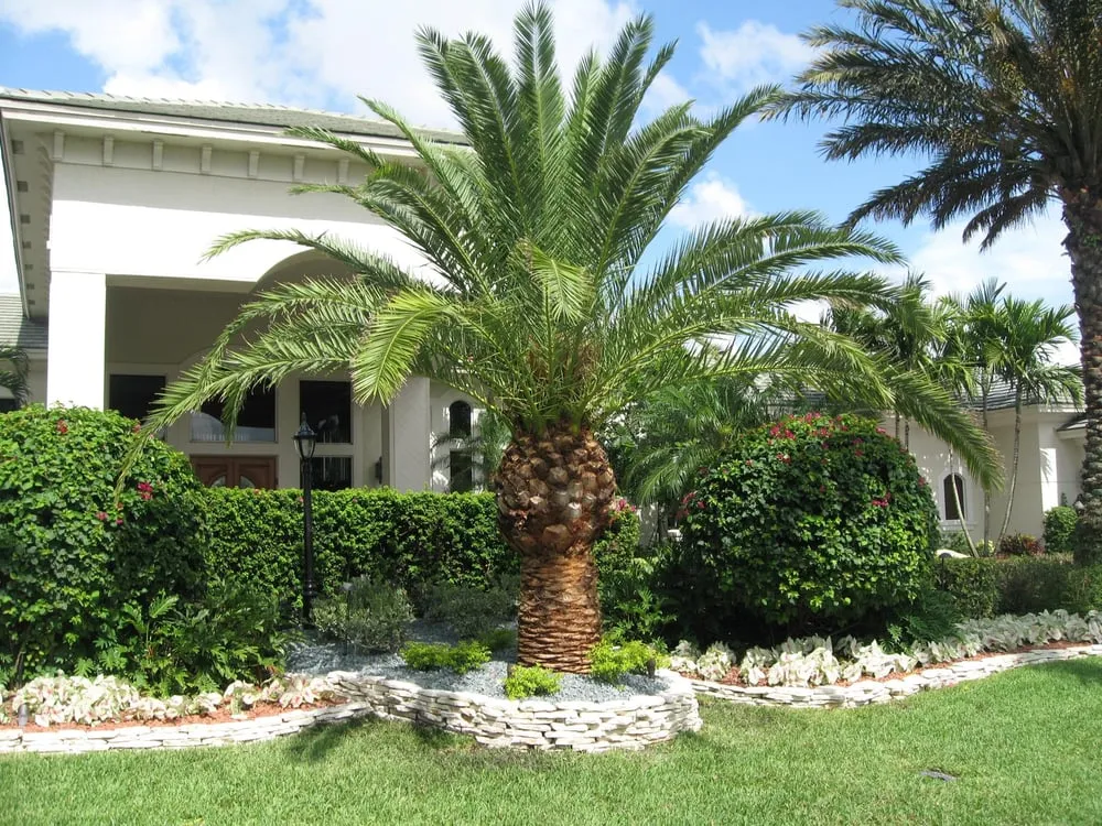 Affordable garden landscaping for residential properties across Coconut Creek, FL - Diamond Cuts & Landscaping