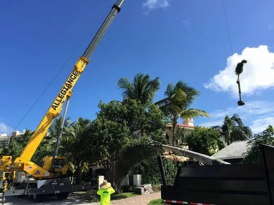 Diamond Cuts & Landscaping