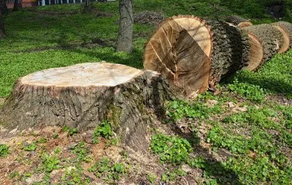 Custom landscaping services in Aurora, IL by Diamond Cuts Landscaping And Commercial Snow Removal