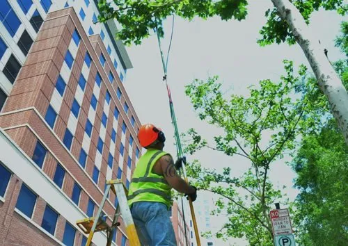 Local landscape installation experts serving Aurora, IL - Diamond Cuts Landscaping And Commercial Snow Removal