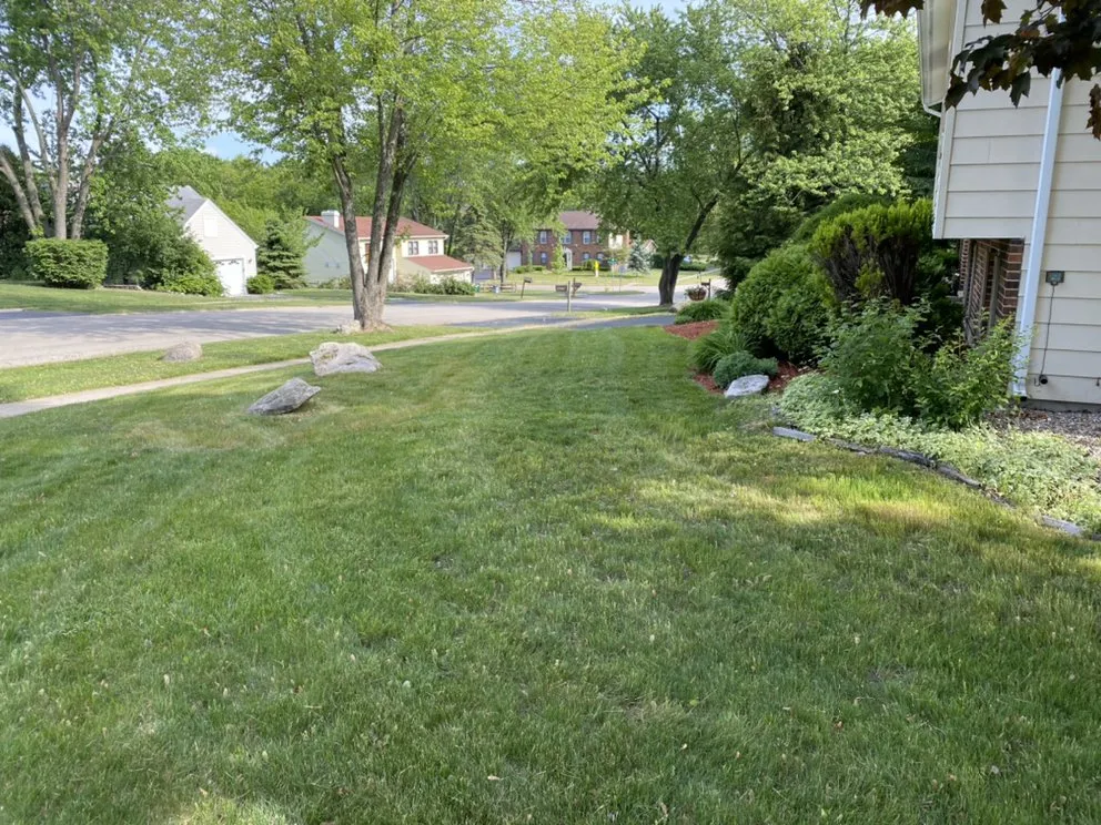 Trusted landscape installation for year-round maintenance across Grayslake, IL - Diamond Cutters