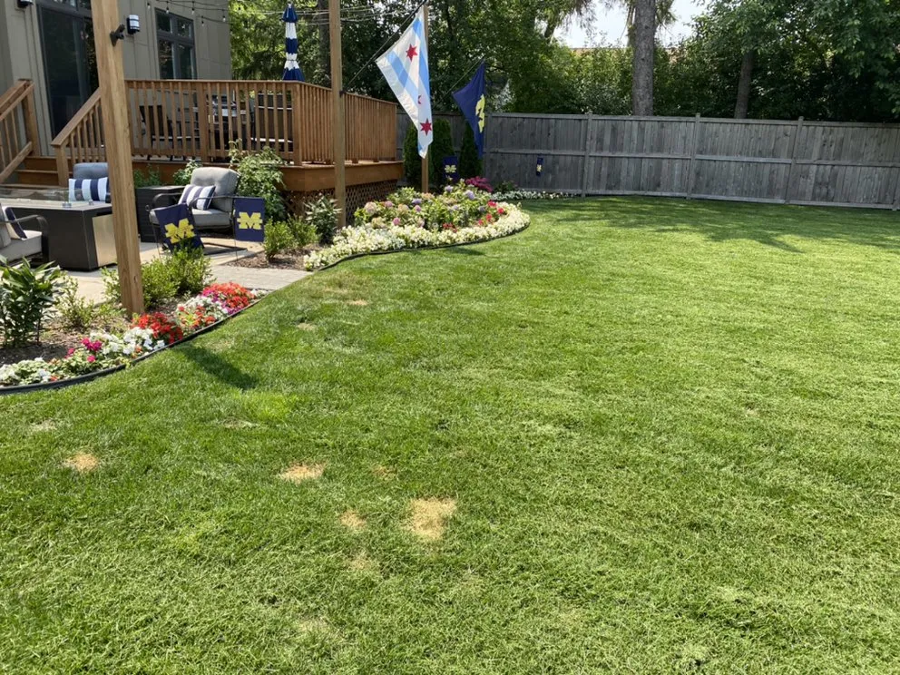 Custom lawn mowing service in Grayslake, IL - Diamond Cutters