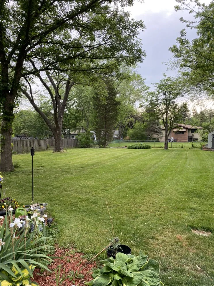 Local landscaping services for year-round maintenance across Grayslake, IL - Diamond Cutters