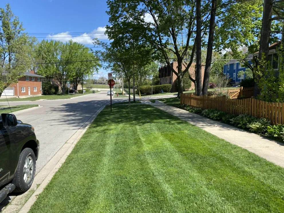 Reliable outdoor landscaping experts serving Grayslake, IL - Diamond Cutters