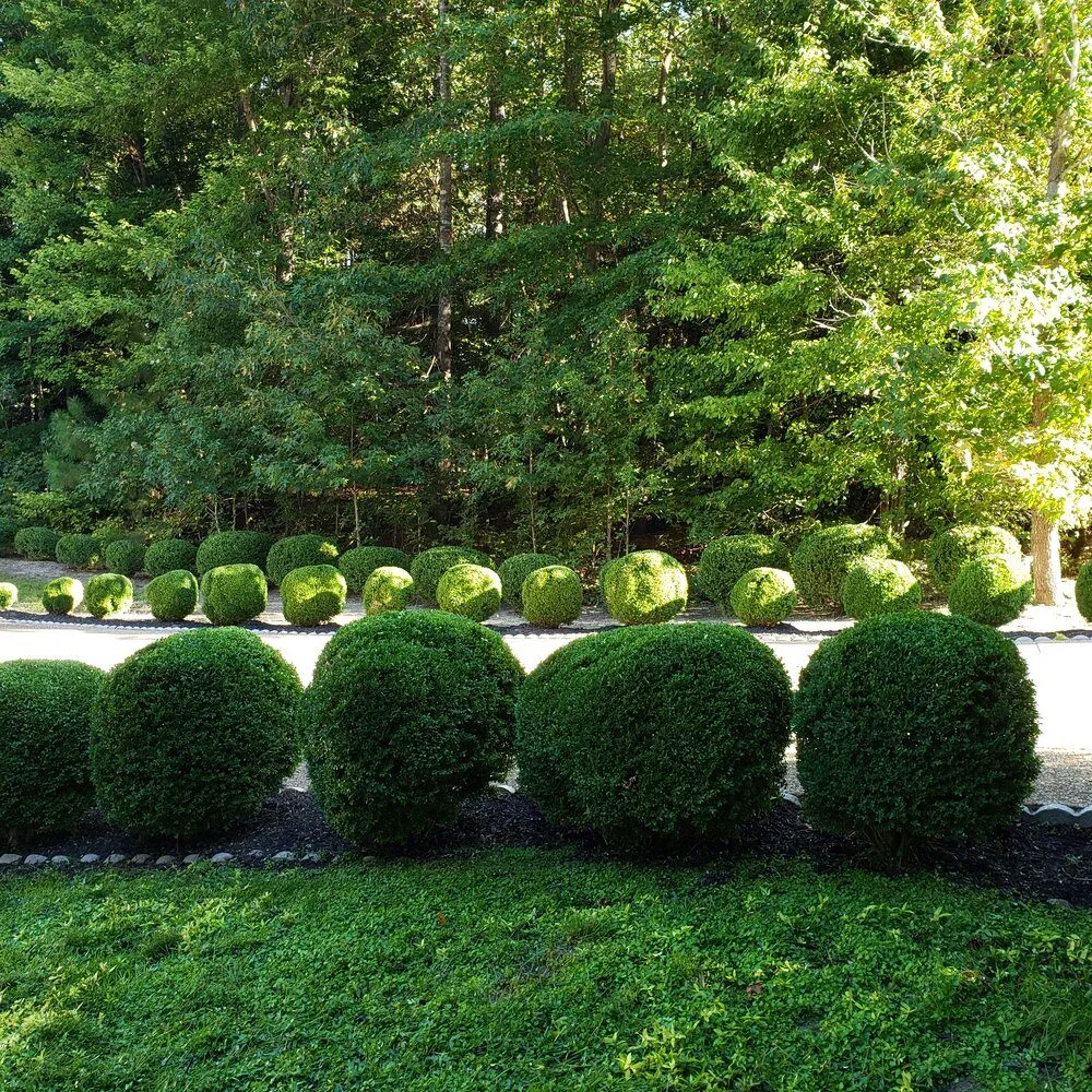 Reliable landscape design with custom design across Richmond, VA - Diamond Cutz Lawn Care