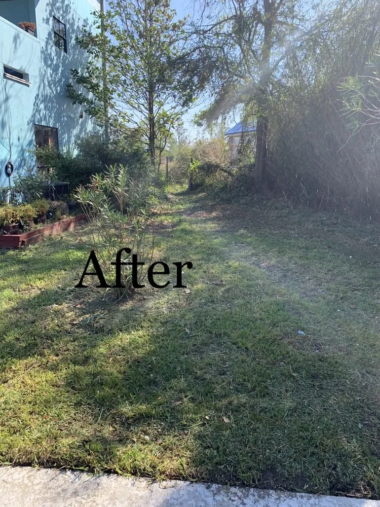 Expert residential landscaping for outdoor upgrades in Mckinney, TX by Diamond Demo & Junk Removal