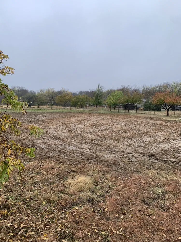 Affordable yard maintenance experts serving Mckinney, TX - Diamond Demo & Junk Removal