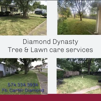 Diamond Dynasty Landscaping Logo