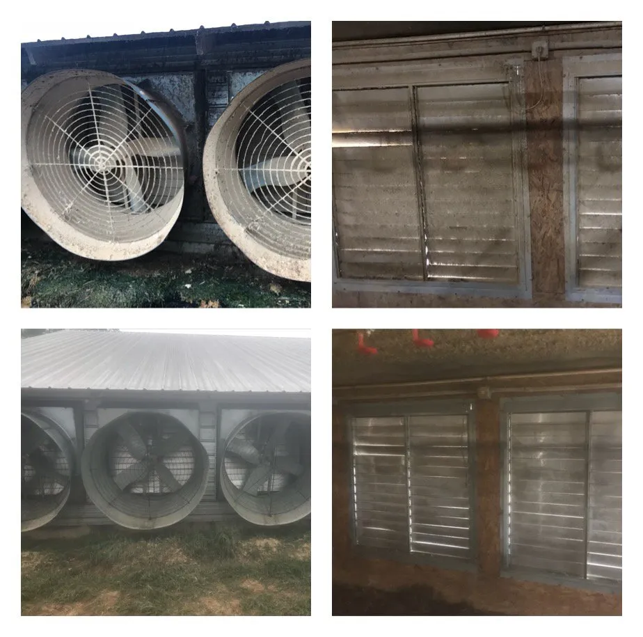 Reliable yard cleanup service in Shubuta, MS - Diamond E Services