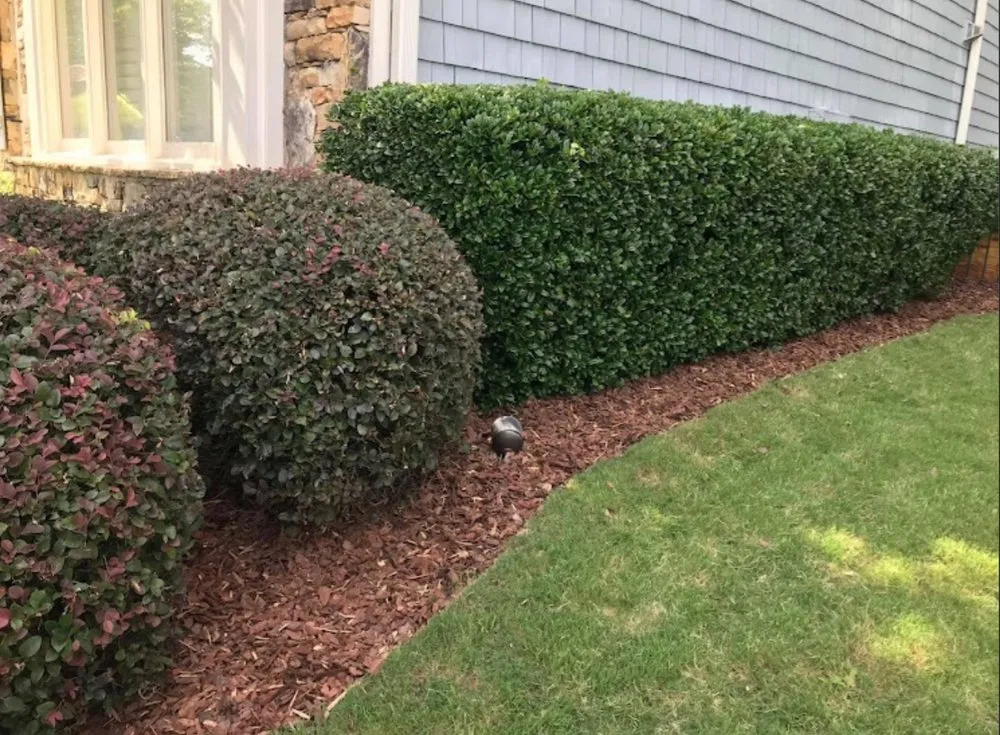 Reliable landscape design for residential properties across Hackettstown, NJ - Diamond Edge Landscaping