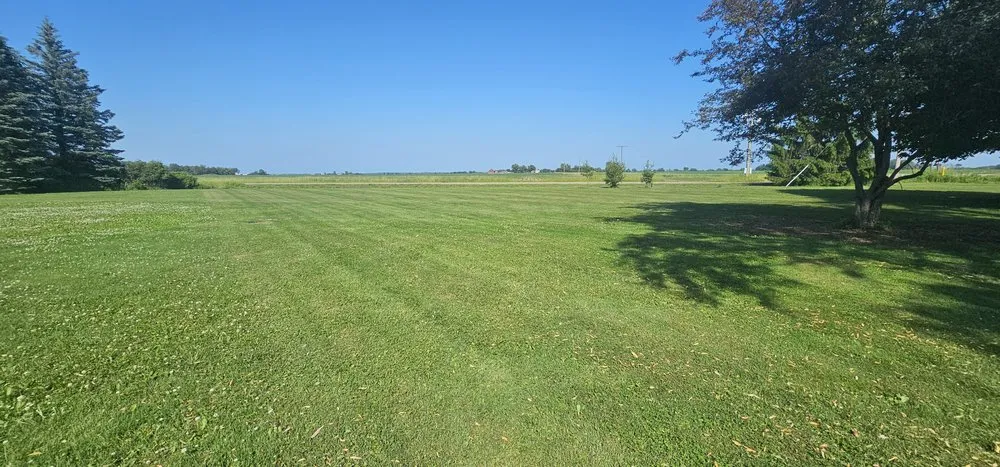 Reliable yard cleanup service in Peck, MI by Diamond Edge Lawn Care & Solution