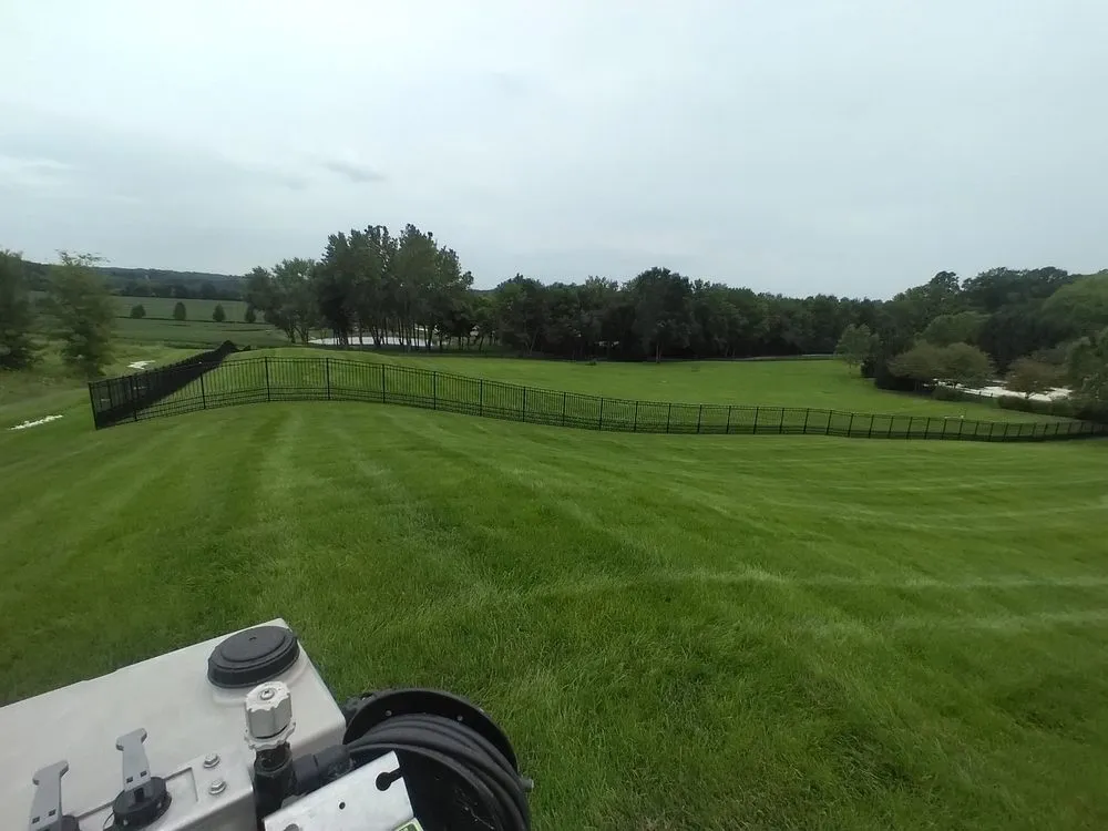 Expert yard cleanup service in Ballwin, MO by Diamond Edge Outdoor Management