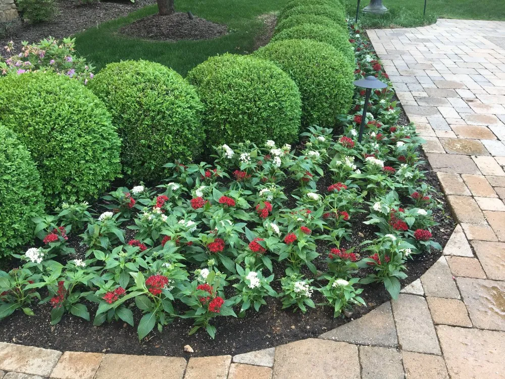 Custom yard maintenance in Ballwin, MO by Diamond Edge Outdoor Management