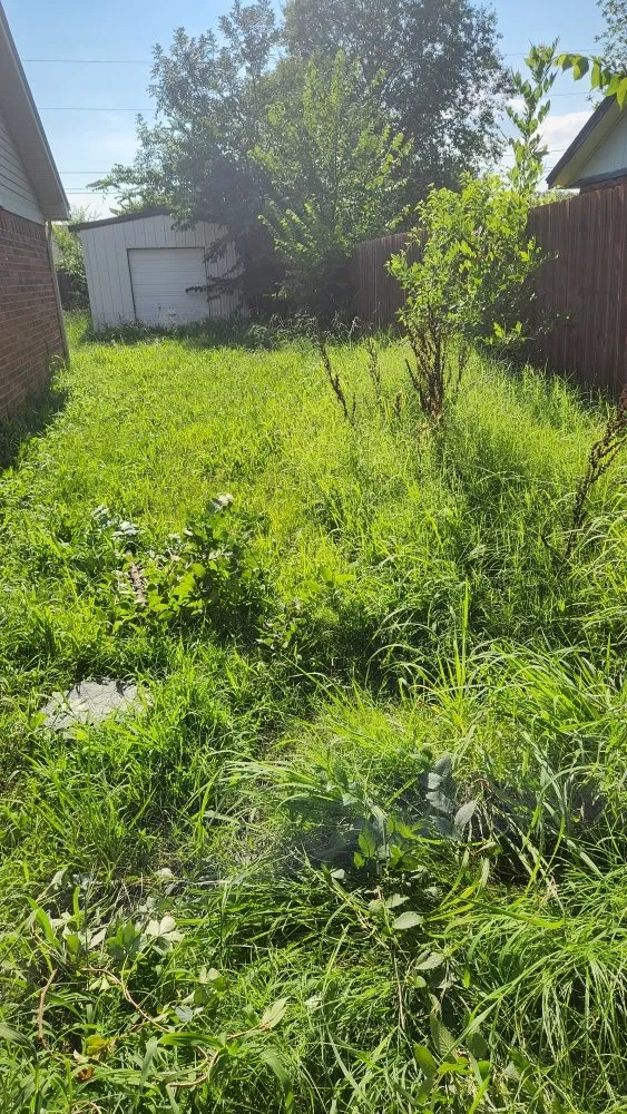 Top-rated yard maintenance near you across Skiatook, OK - Diamond Elite Lawn