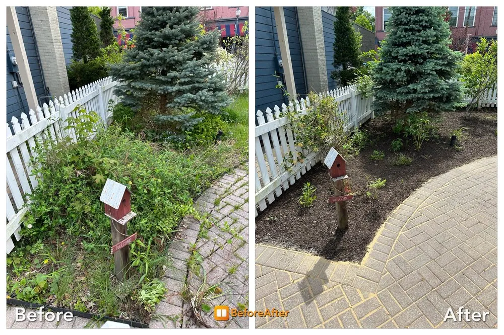 Trusted yard cleanup service experts serving Honesdale, PA - Diamond Excavating And Land Management