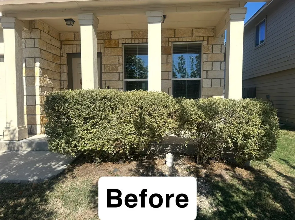 Expert lawn care service for beautiful yards in New Braunfels, TX by Diamond GH Land Management