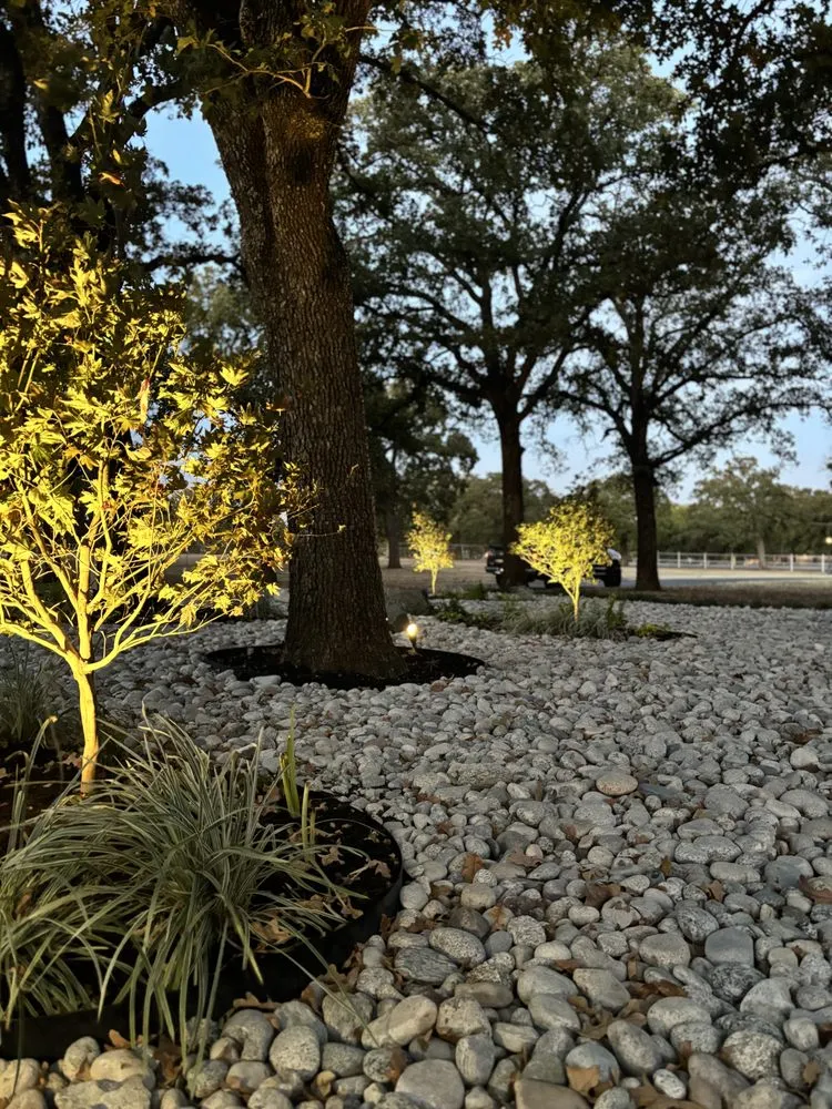 Local lawn care service for residential properties in Fort Worth, TX by Diamond H