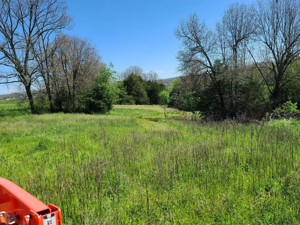 Local yard cleanup service in Huntsville, AR - Diamond H Land Management