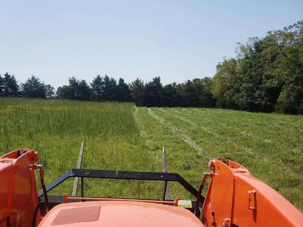 Top-rated lawn mowing service for residential properties across Huntsville, AR - Diamond H Land Management