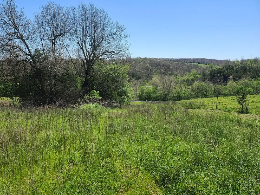 Top-rated garden landscaping experts serving Huntsville, AR - Diamond H Land Management