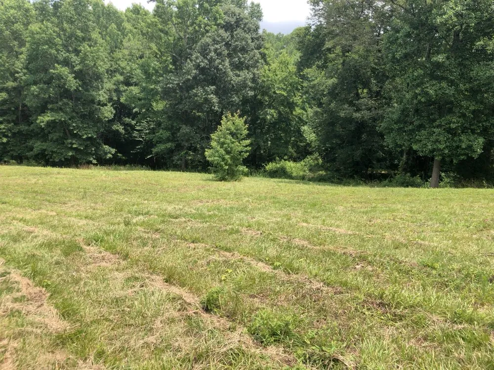 Top-rated yard cleanup service near you in Winder, GA by Diamond H Ranch