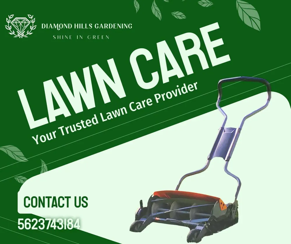 Expert yard maintenance near you across Whittier, CA - Diamond Hills Gardening