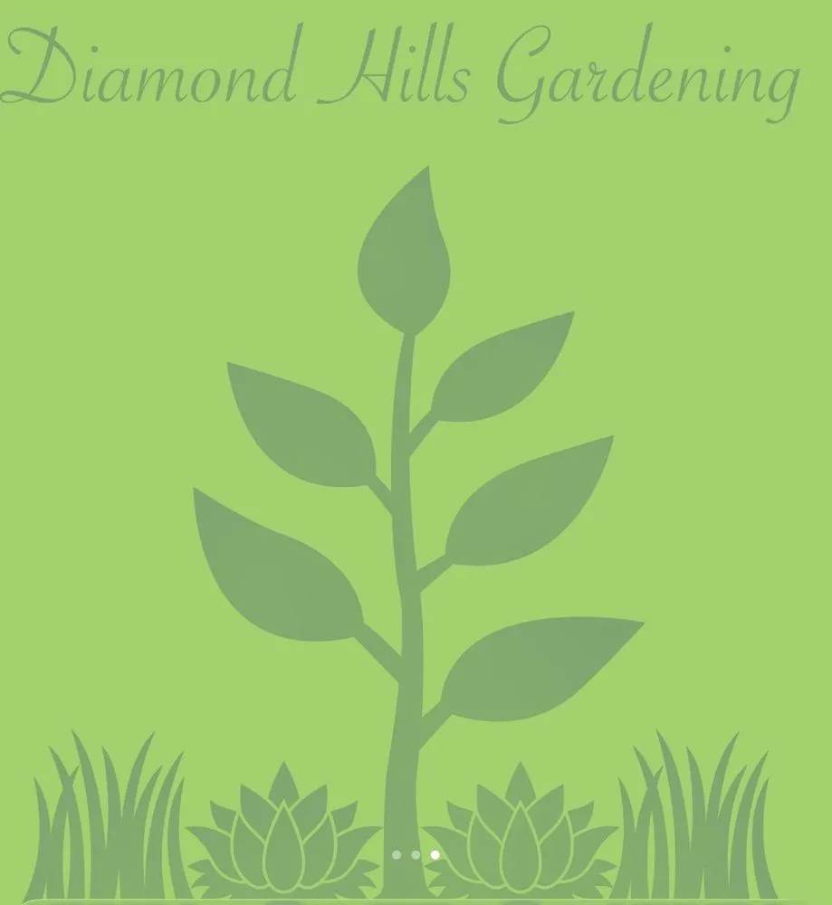 Expert yard maintenance for beautiful yards in Whittier, CA by Diamond Hills Gardening