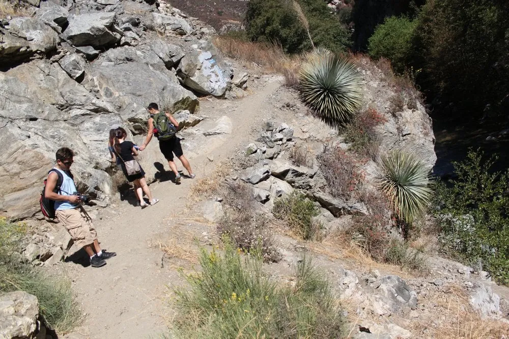 Reliable landscaping services experts serving Whittier, CA - Diamond Hills Gardening