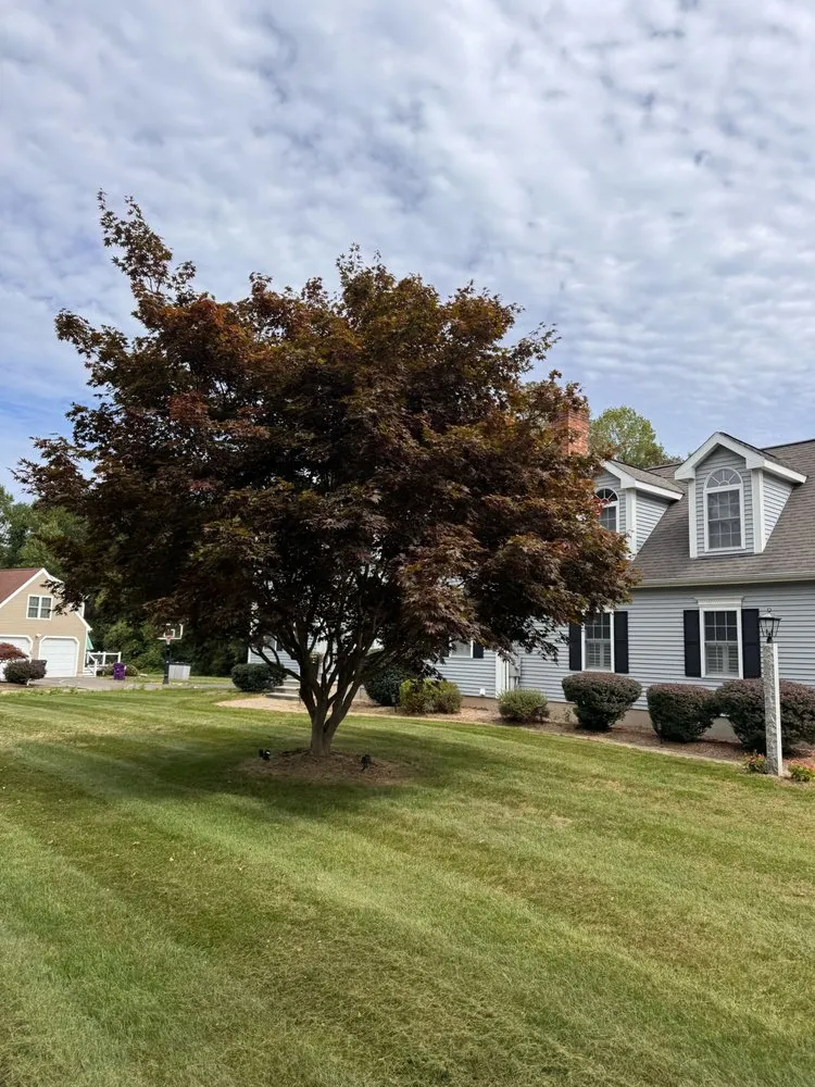 Affordable garden landscaping in East Haven, CT by Diamond Image