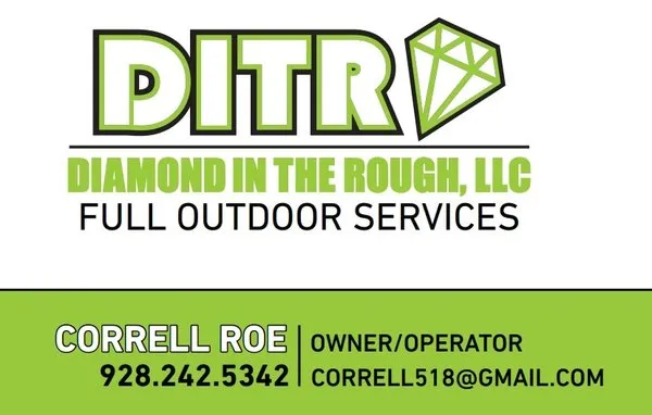 Diamond in the Rough Logo