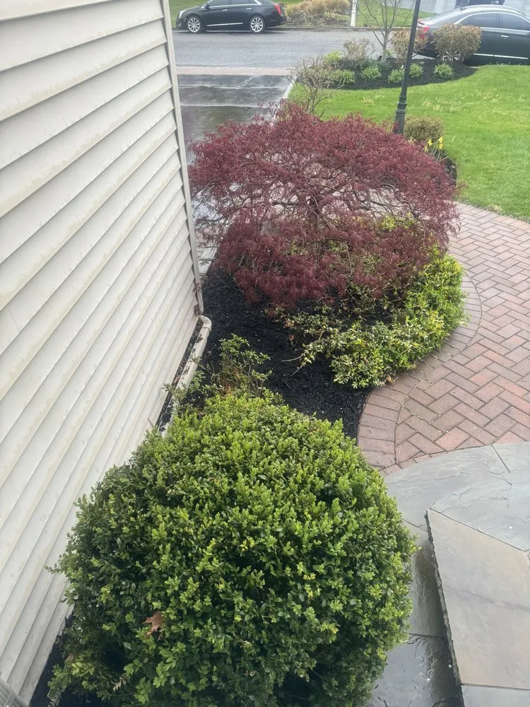 Professional landscape installation in West Union, SC - Diamond Jims Landscaping