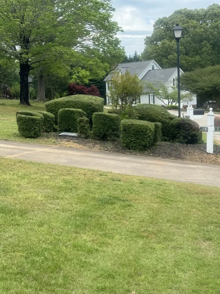 Reliable landscape installation in West Union, SC - Diamond Jims Landscaping