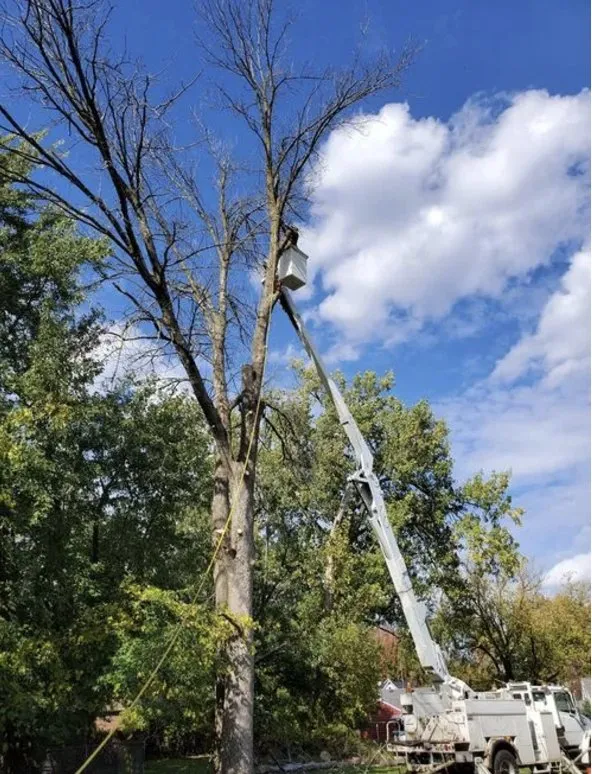 Local landscaping services in Lockport, NY - Diamond Landscape & Design