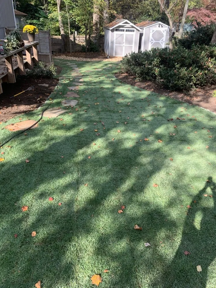 Trusted yard cleanup service in Charlotte, NC by Diamond Landscape & Lawn Maintenance