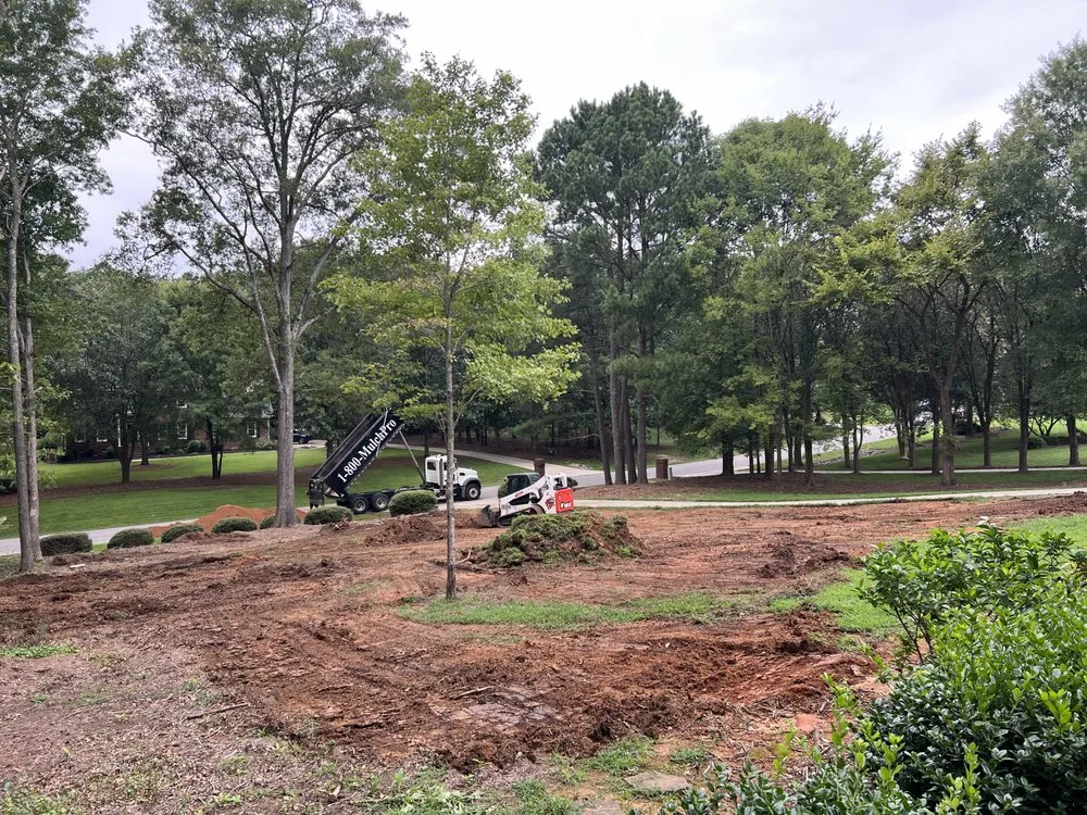 Top-rated garden landscaping near you across Charlotte, NC - Diamond Landscape & Lawn Maintenance