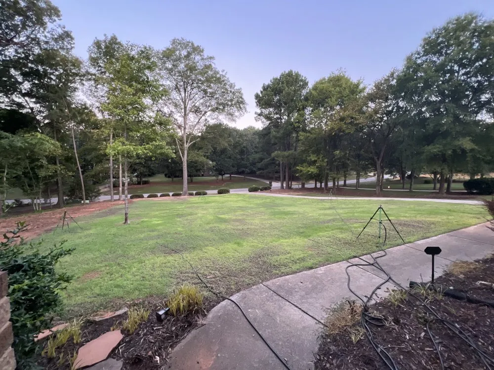 Reliable yard cleanup service in Charlotte, NC - Diamond Landscape & Lawn Maintenance